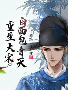 重生大宋:白面包青天